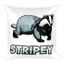 Stripey Throw n' Tussle Pillow